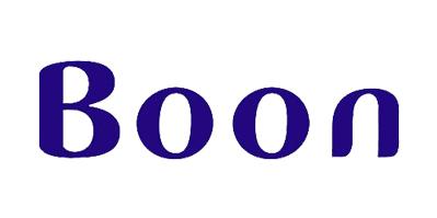 太阳集团光电合作伙伴-BOON