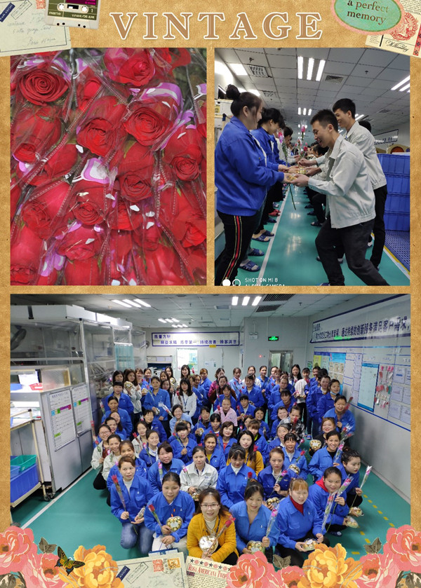 太阳集团光电女神节